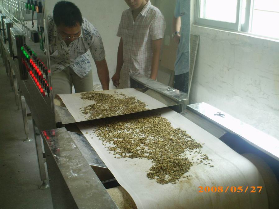 微波昆蟲烘干膨化設備